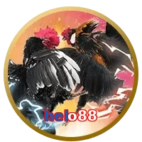 helo88