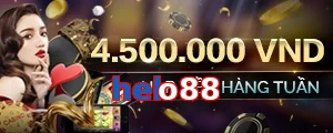 helo88